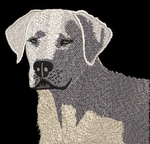 White Labrador Digitizing