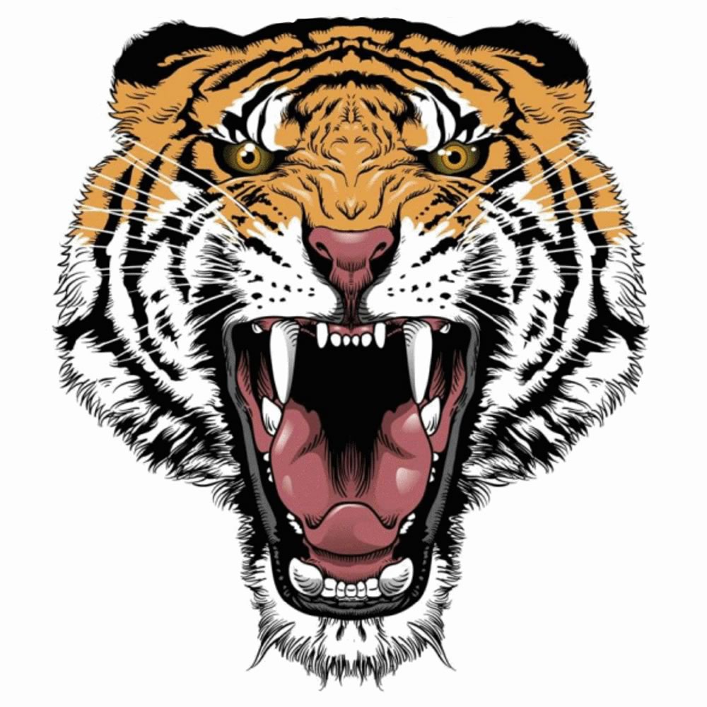 Before Tiger Embroidery Design