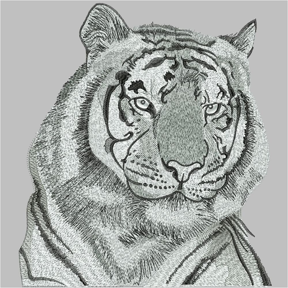 After Tiger Embroidery