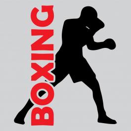 Boxing Vector