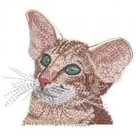 Embroidery Design: Cat