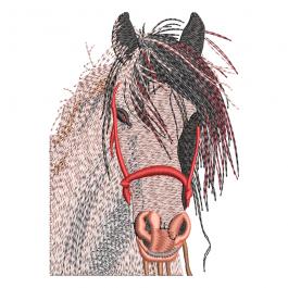 Embroidery Design: Napoleon Horse