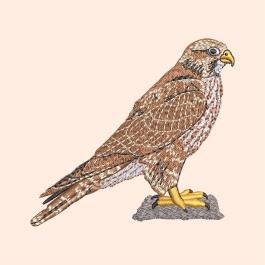 Eagle Embroidery Design