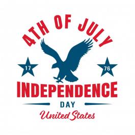 4th July Eagle vector image