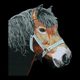 Horse Embroidery Design