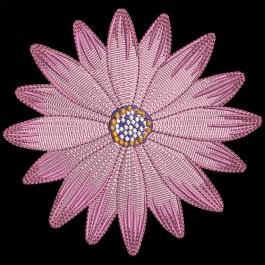 Pink Daisy Flower Embroidery Design | Cre8iveSkill