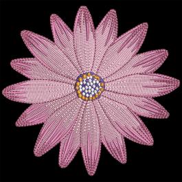 Pink Daisy Flower Embroidery Design | Cre8iveSkill Pink Daisy Flower Embroidery Design | Cre8iveSkill