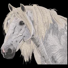 Gypsy Vanner Horse Embroidery Design