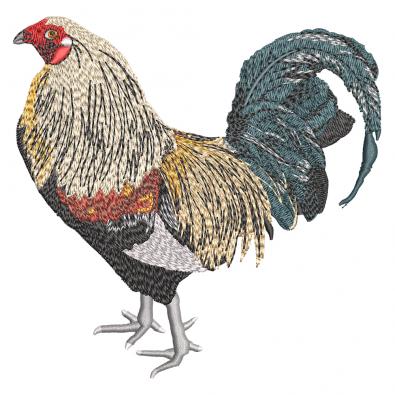 Embroidery Design: Cock