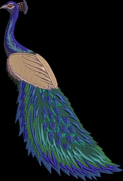 Cre8iveSkill's Embroidery Design Peacock Beauty