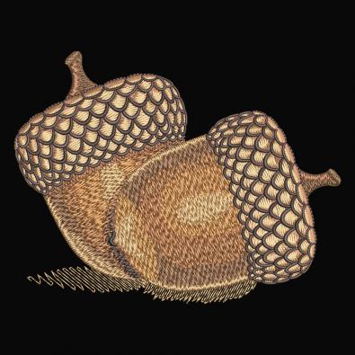 Embroidery Design Acorn Nuts Embroidery Design