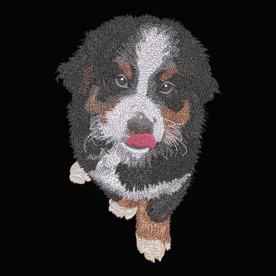 Embroidery Design Mischievous Dog - Cre8iveSkill