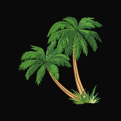 Coconut Tree Embroidery Design | Cre8iveSkill