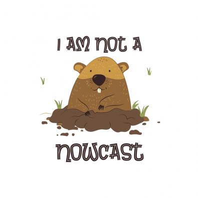 I am Not A Nowcast Vector Art Design