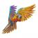Embroidery Design: Colorful Parrot