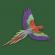 Multicolor Parrot Embroidery Design- Cre8iveSkill