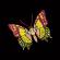 Colorful Butterfly Machine Embroidery Design - Cre8iveSkill