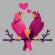 Love Birds Parrots Vector Art Design | Cre8iveSkill