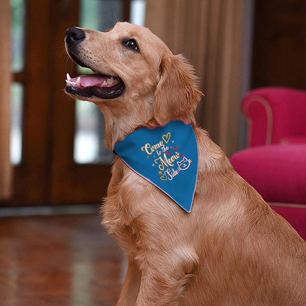 Kitten meowing typography  cat embroidery design  cre8iveskill