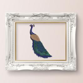 Cre8iveSkill - peacock beauty photo frame mockup design