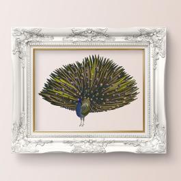 Cre8iveSkill - Beautiful Peacock photo frame mockup design