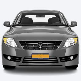 New York Licence Plate Vector Graphics Design Car Mockup