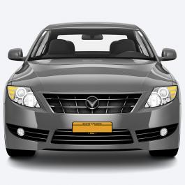 South Dakota Licence Plate Vector Graphics Design Car Mockup
