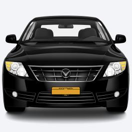 South Dakota Licence Plate Vector Graphics Design Car Mockup
