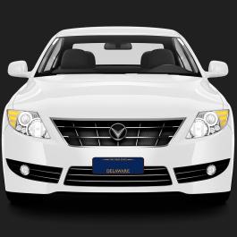 Delaware License Plate Vector Graphics Design Car Mockup