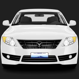 Denver Licence Plate Vector Graphics Design Car Mockup