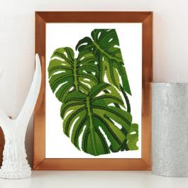 Monstera Plant Leaf Coloreel Embroidery Design Photo Frame Mockup - Cre8iveSkill