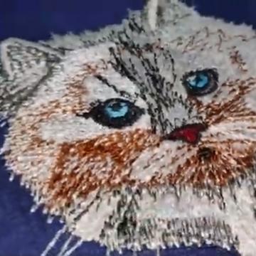 The Peeking Cat | New Product Launce Embroidery Design